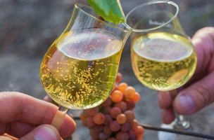 Gewurztraminer in wine glasses